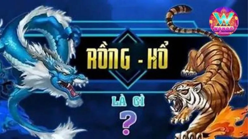 Mẹo chơi rồng hổ đó là hiểu luật chơi